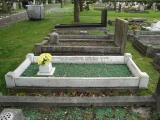 image of grave number 465915